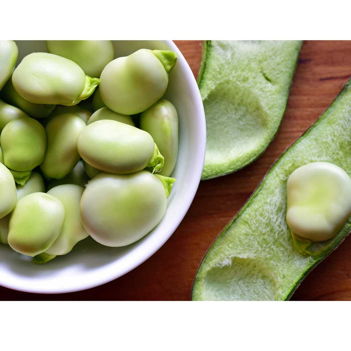White Toque - Frozen Peeled Fava Beans, 1lb | Buy Online - myPanier